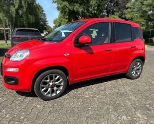 Fiat Panda Gebrauchtwagen
