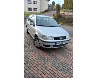VW Polo Gebrauchtwagen