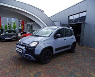 Fiat Panda Gebrauchtwagen