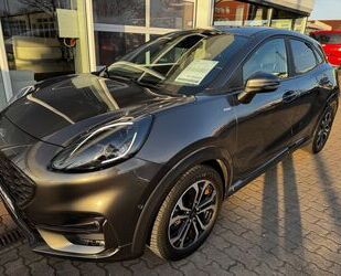 Ford Puma Gebrauchtwagen
