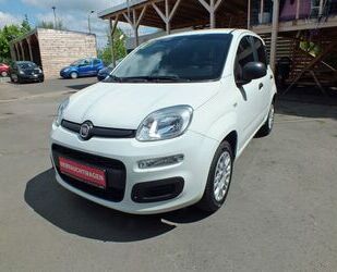 Fiat New Panda Gebrauchtwagen