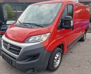 Fiat Ducato Gebrauchtwagen