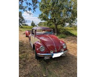 VW Käfer Gebrauchtwagen