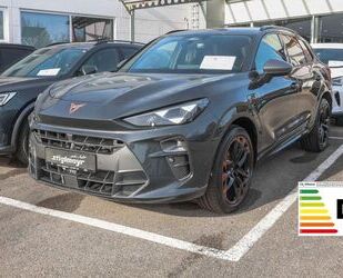 Cupra Terramar Gebrauchtwagen