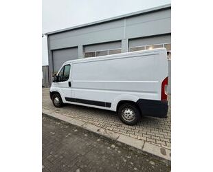 Fiat Ducato Gebrauchtwagen