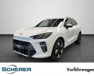 Cupra Terramar Gebrauchtwagen