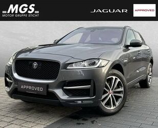 Jaguar F-Pace Gebrauchtwagen