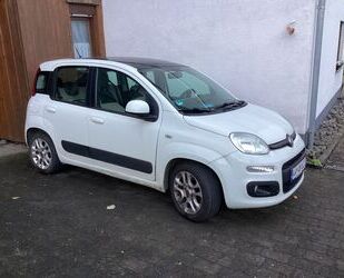 Fiat Panda Gebrauchtwagen