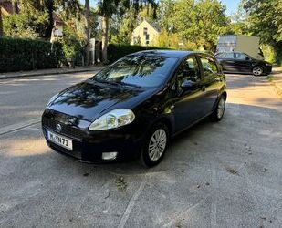 Fiat Punto Gebrauchtwagen