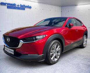 Mazda CX-30 Gebrauchtwagen
