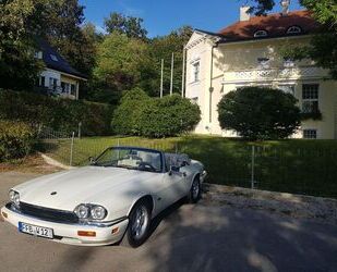 Jaguar XJS Gebrauchtwagen