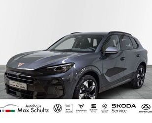 Cupra Terramar Gebrauchtwagen