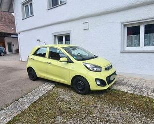 Kia Picanto Gebrauchtwagen