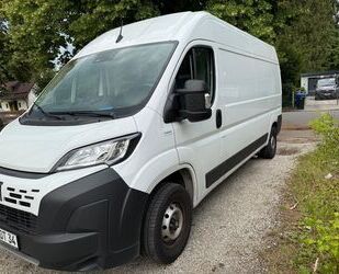 Fiat Ducato Gebrauchtwagen