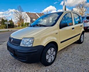 Fiat Panda Gebrauchtwagen