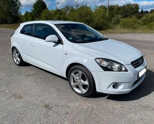 Kia pro ceed / ProCeed Gebrauchtwagen