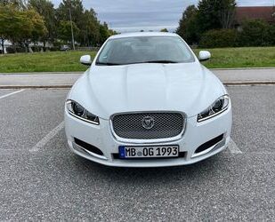 Jaguar XF Gebrauchtwagen