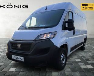 Fiat Ducato Gebrauchtwagen