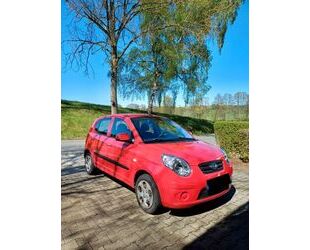 Kia Picanto Gebrauchtwagen