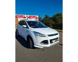 Ford Kuga Gebrauchtwagen