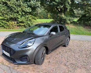 Ford Puma Gebrauchtwagen