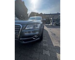 Audi SQ5 Gebrauchtwagen