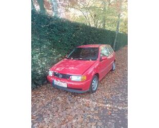 VW Polo Gebrauchtwagen