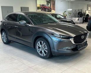Mazda CX-30 Gebrauchtwagen