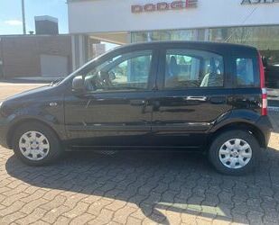 Fiat Panda Gebrauchtwagen