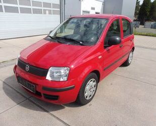 Fiat Panda Gebrauchtwagen