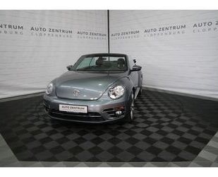 VW Beetle Gebrauchtwagen