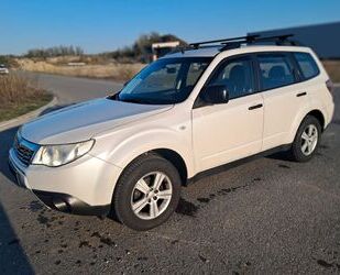 Subaru Forester Gebrauchtwagen