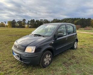 Fiat Panda Gebrauchtwagen
