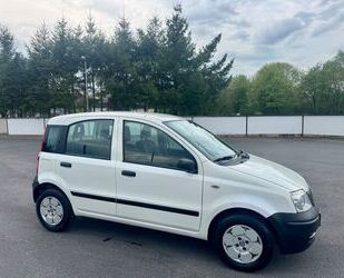 Fiat Panda Gebrauchtwagen