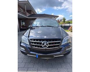 Mercedes-Benz ML 350 Gebrauchtwagen