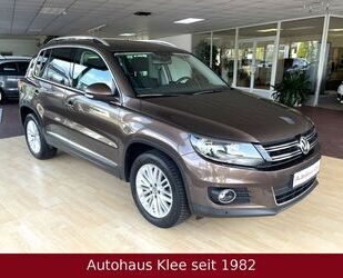 VW Tiguan Gebrauchtwagen