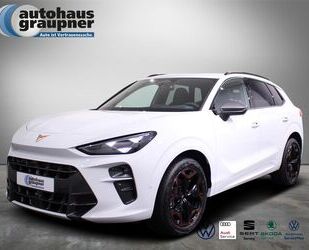 Cupra Terramar Gebrauchtwagen