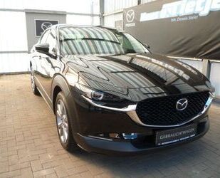 Mazda CX-30 Gebrauchtwagen