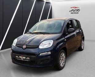 Fiat Panda Gebrauchtwagen