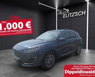 Ford Kuga Gebrauchtwagen