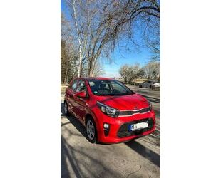 Kia Picanto Gebrauchtwagen