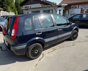 Ford Fusion Gebrauchtwagen
