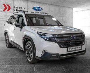 Subaru Forester Gebrauchtwagen