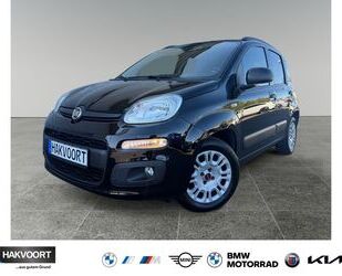 Fiat Panda Gebrauchtwagen