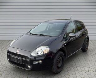 Fiat Punto Gebrauchtwagen