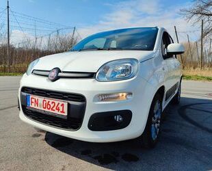 Fiat Panda Gebrauchtwagen