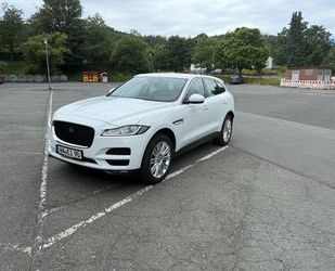 Jaguar F-Pace Gebrauchtwagen