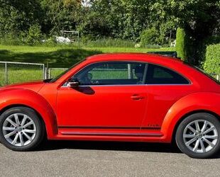 VW New Beetle Gebrauchtwagen