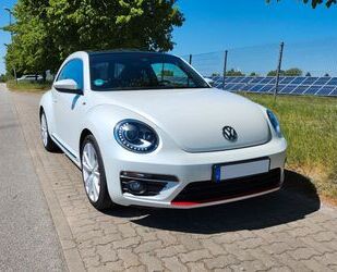 VW Beetle Gebrauchtwagen