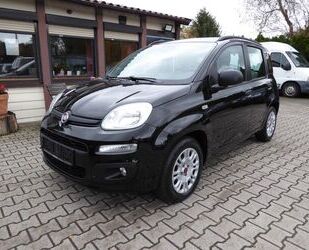 Fiat Panda Gebrauchtwagen